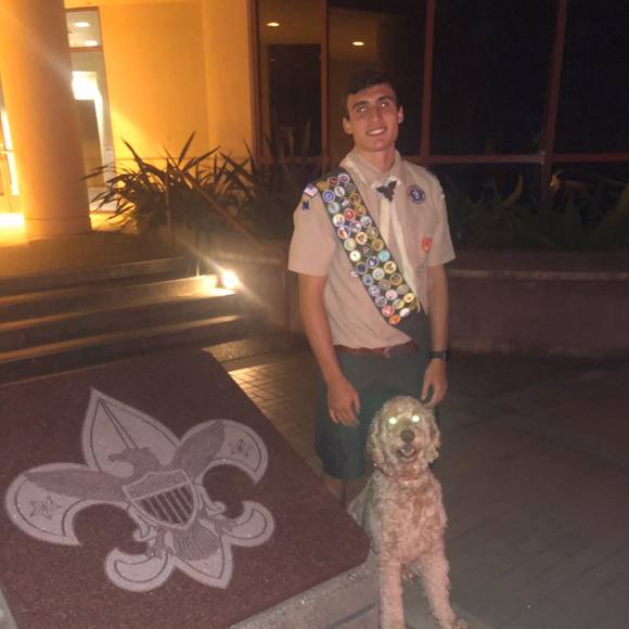 sacsdogs